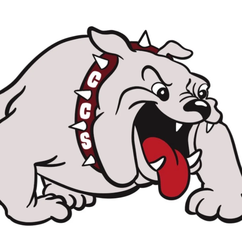 CCS Science Club’s virtual fundraising Pop-Up Store