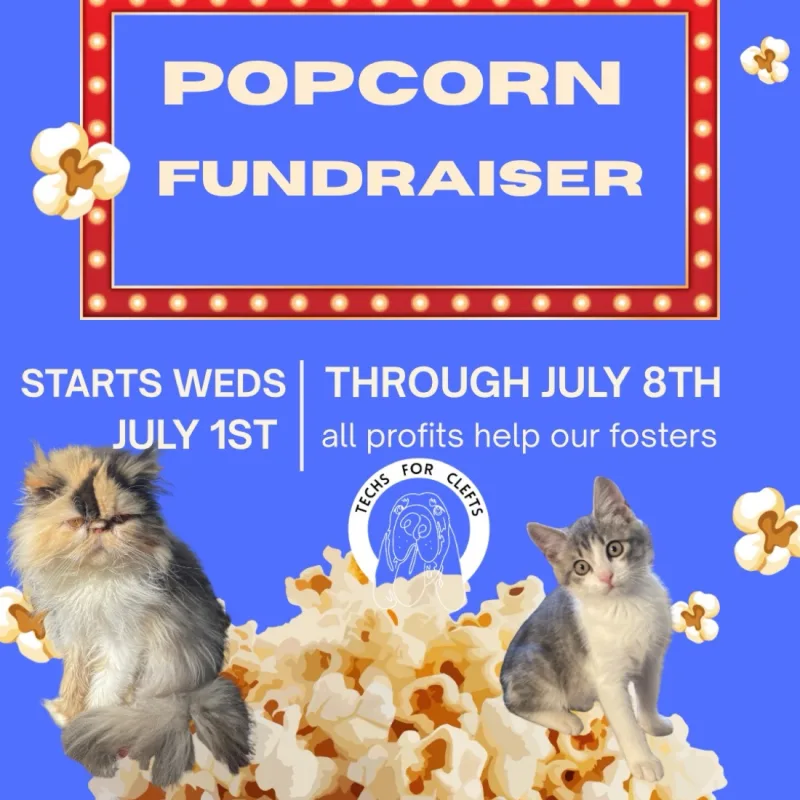 Courtney’s virtual fundraising Pop-Up Store
