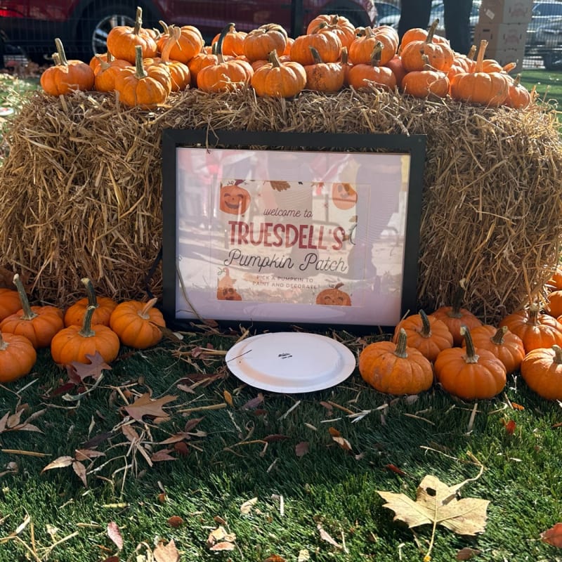 Zacky’s virtual fundraising Pop-Up Store