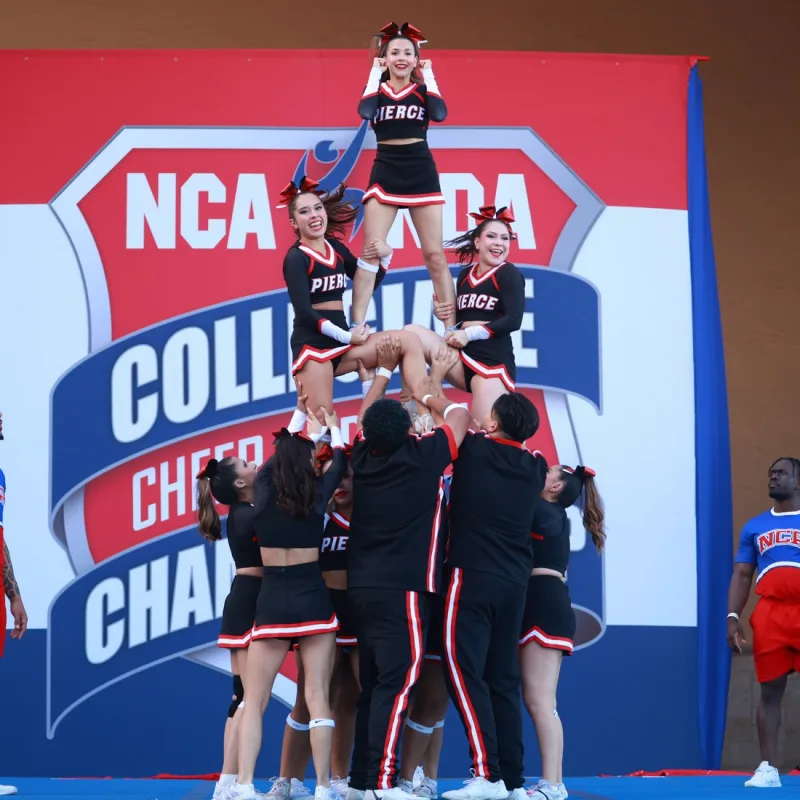 LAPC’s virtual fundraising Pop-Up Store