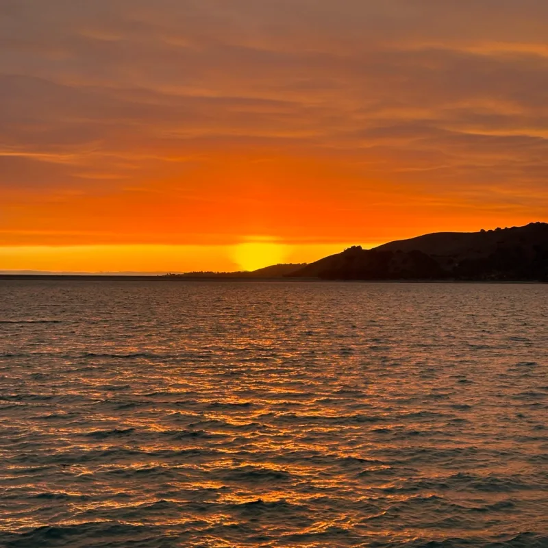 Daniel’s virtual fundraising Pop-Up Store