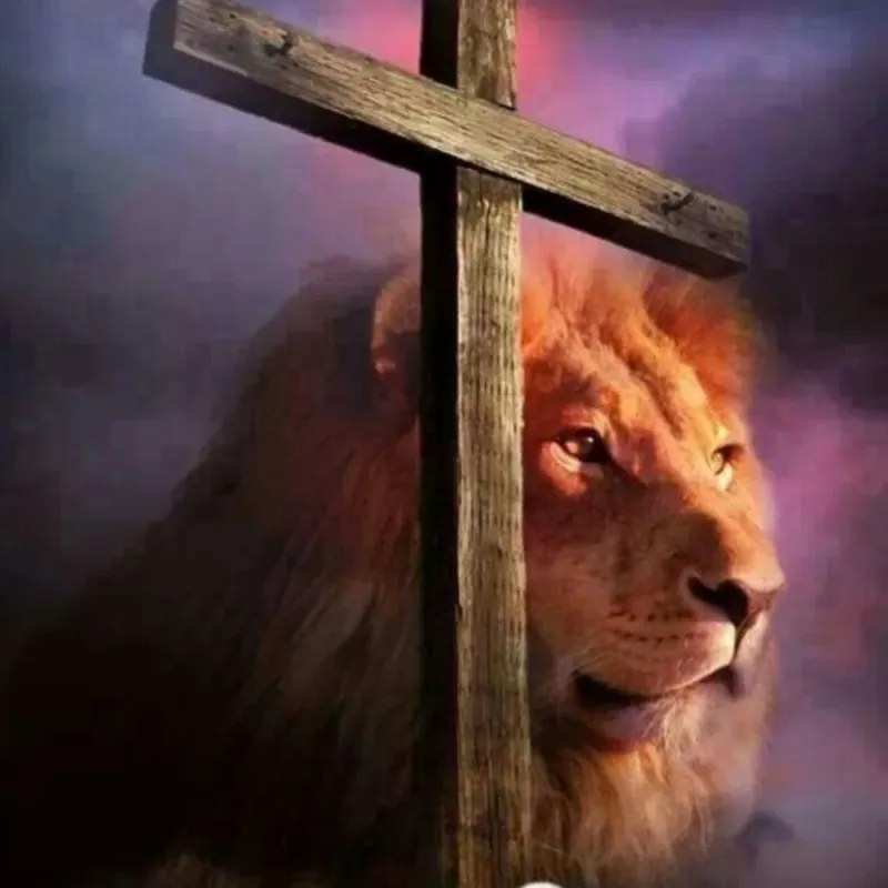 Deacon’s virtual fundraising Pop-Up Store