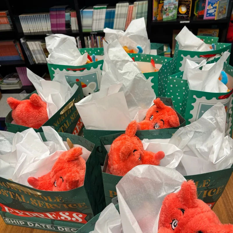 Vanady’s virtual fundraising Pop-Up Store