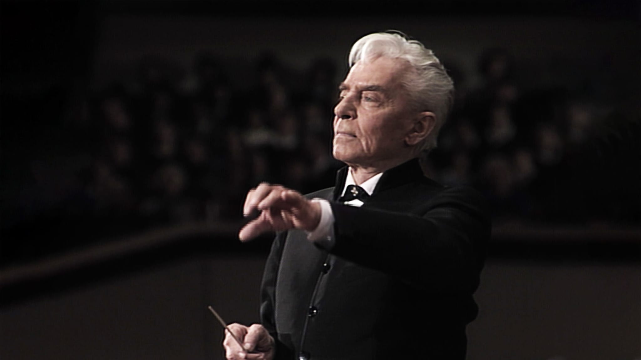 Karajan dirigiert Strauss: Don Quixote