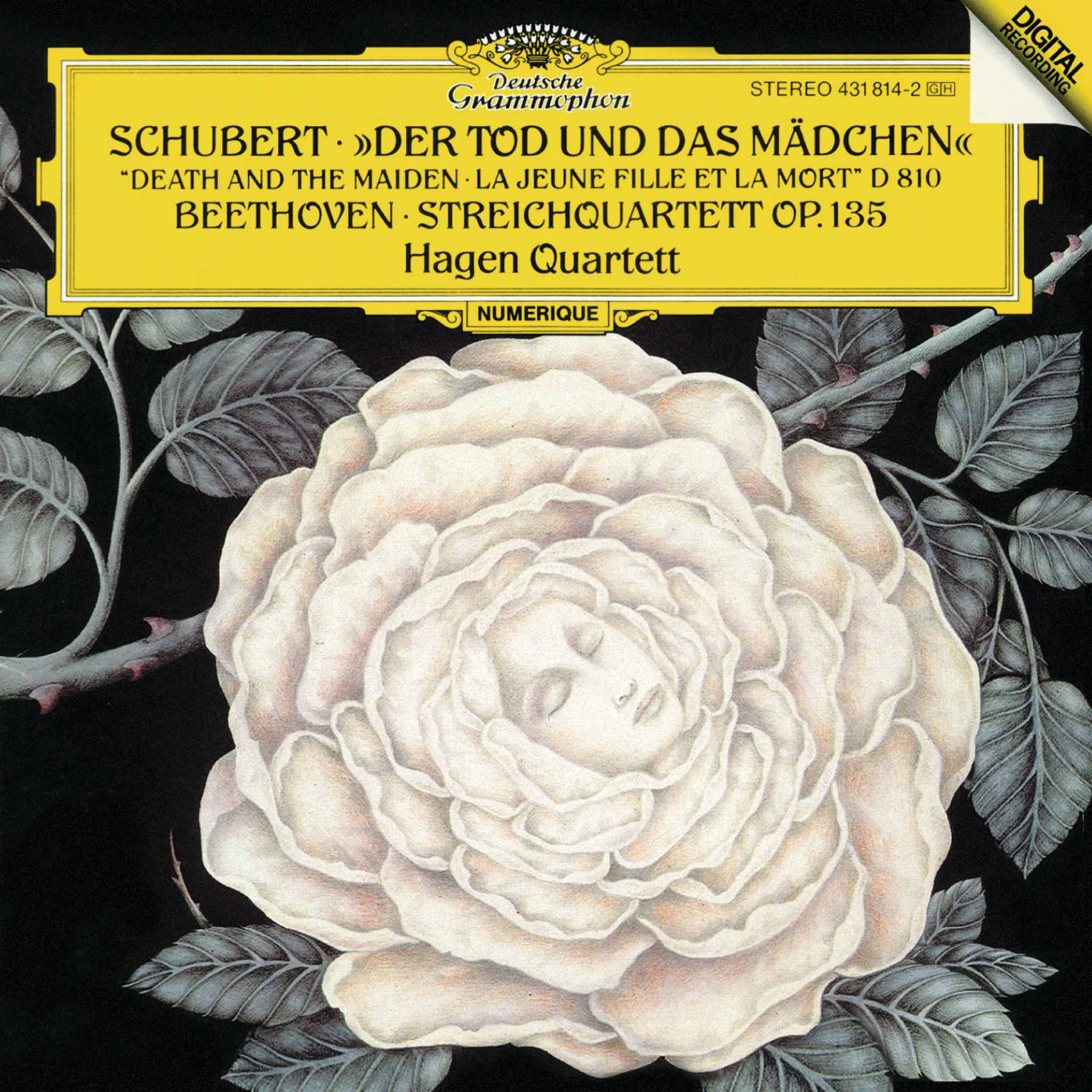 Schubert: "Death and the Maiden" D. 810 / Beethoven: String Quartet Op. 135