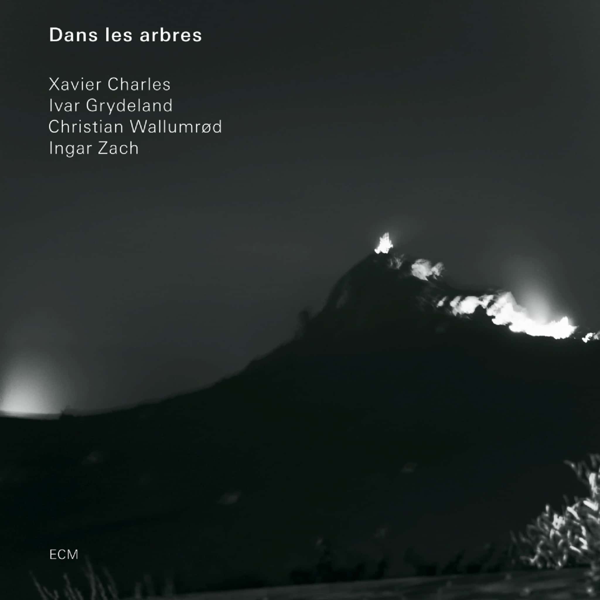 DANS LES ARBRES／DANS