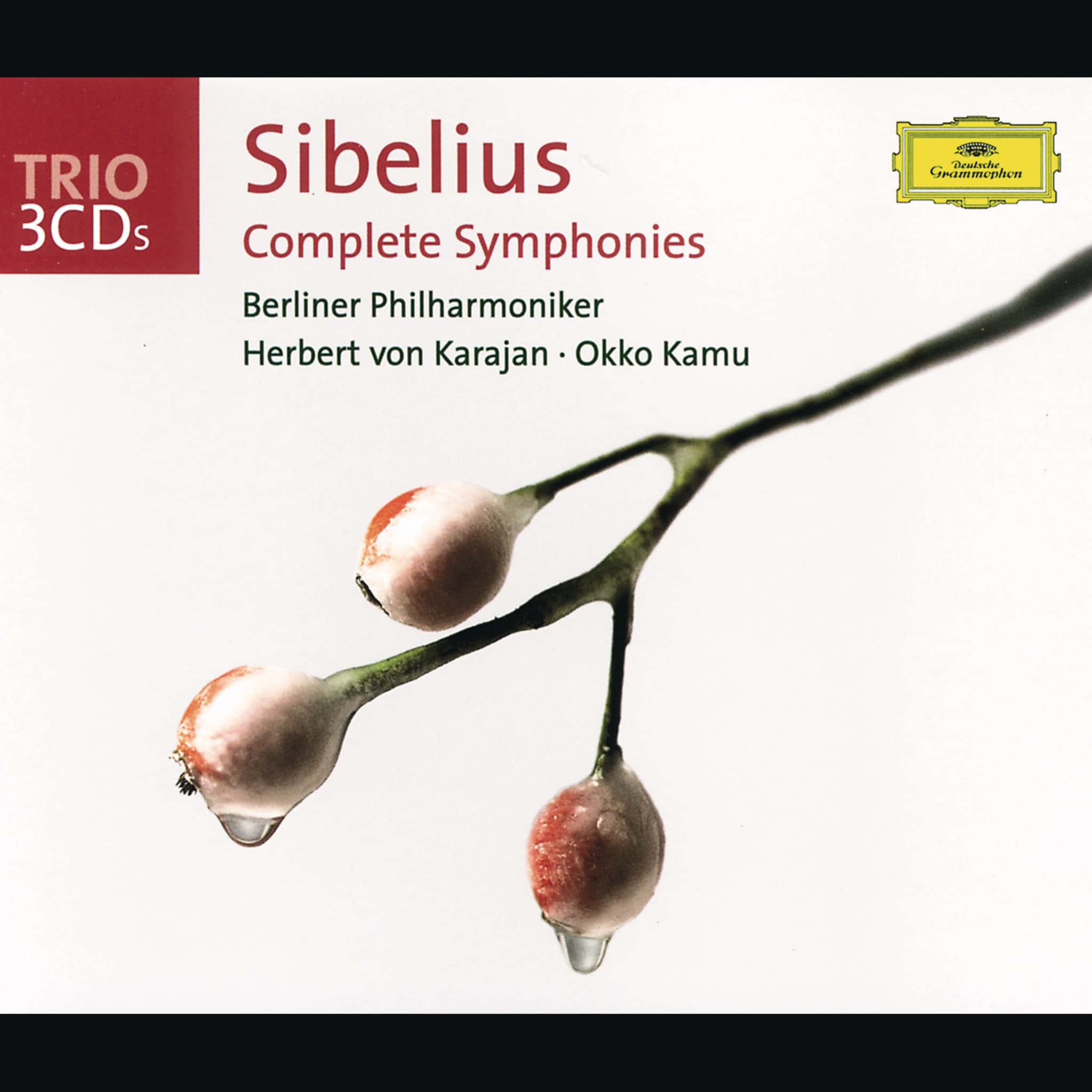 Sibelius: Complete Symphonies (3 CDs)