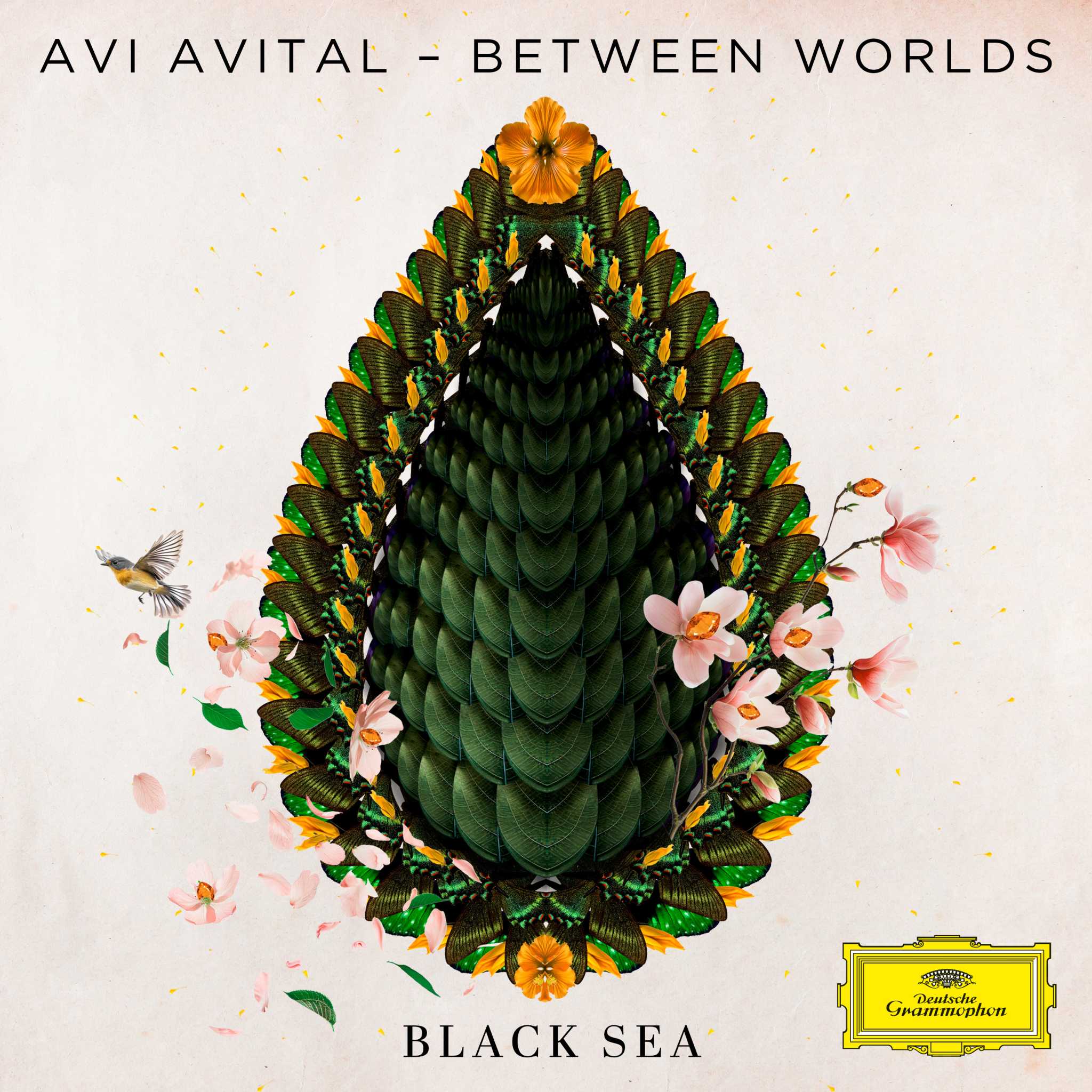 BLACK SEA - EP