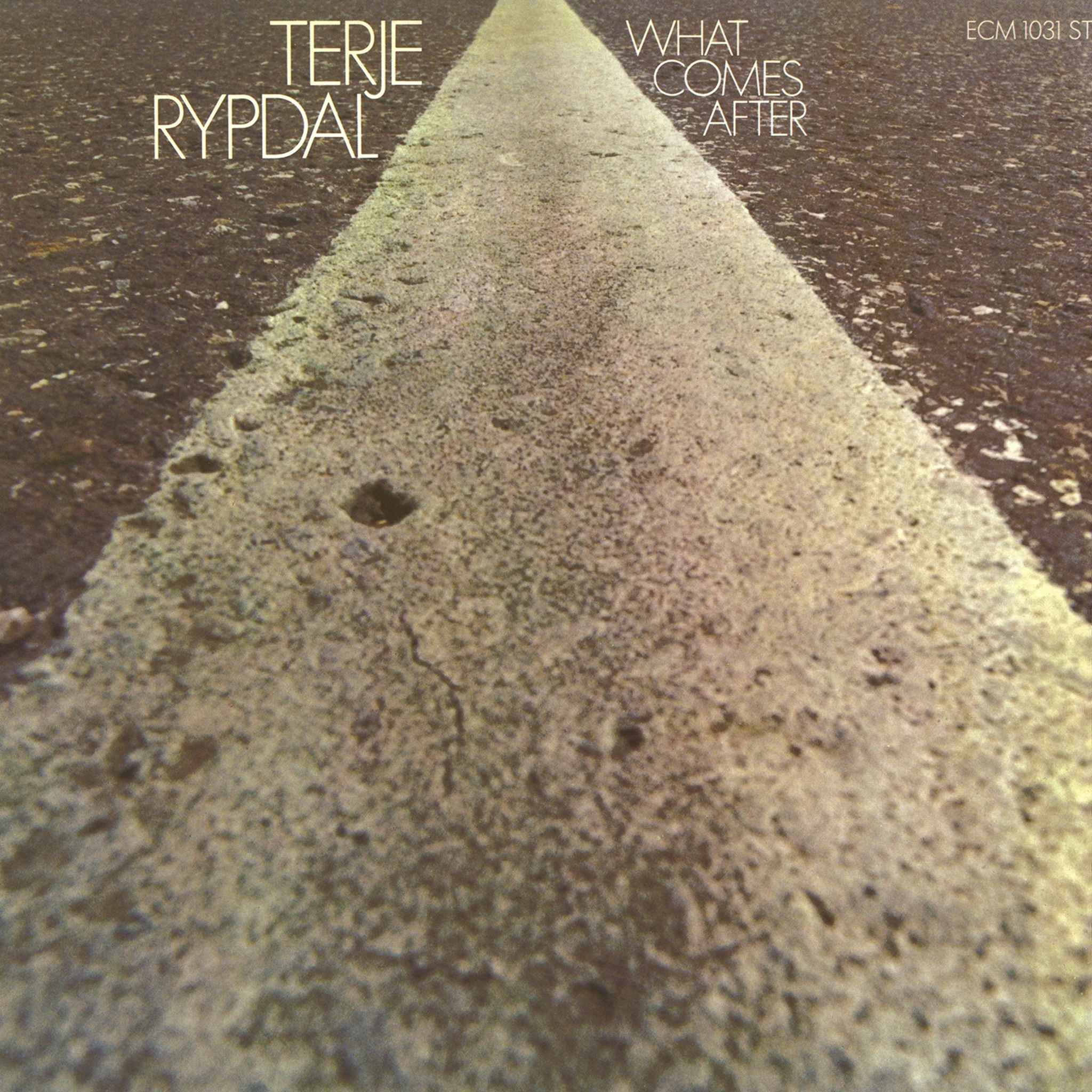 TERJE RYPDAL／WHAT CO