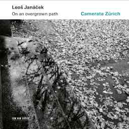 Janáček: On an Overgrown Path