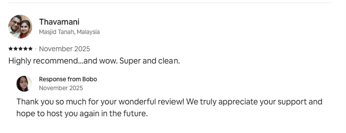 Guest review 4