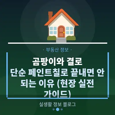 곰팡이와 결로, 단순 페인트칠로 끝내면 안 되는 이유 (현장 실전 가이드)