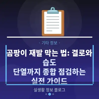 곰팡이 재발 막는 법: 결로와 습도, 단열까지 종합 점검하는 실전 가이드