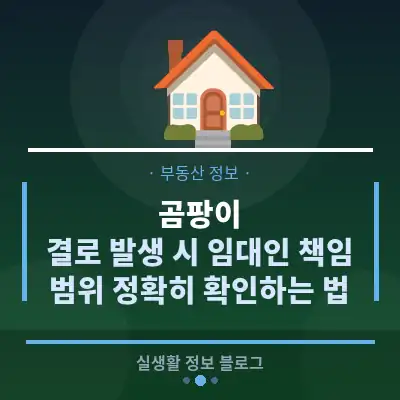 곰팡이, 결로 발생 시 임대인 책임 범위 정확히 확인하는 법
