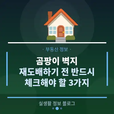 곰팡이 벽지, 재도배하기 전 반드시 체크해야 할 3가지