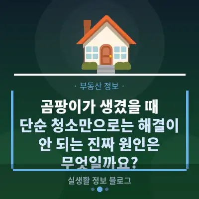 곰팡이가 생겼을 때, 단순 청소만으로는 해결이 안 되는 진짜 원인은 무엇일까요?