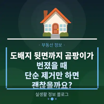 도배지 뒷면까지 곰팡이가 번졌을 때, 단순 제거만 하면 괜찮을까요?