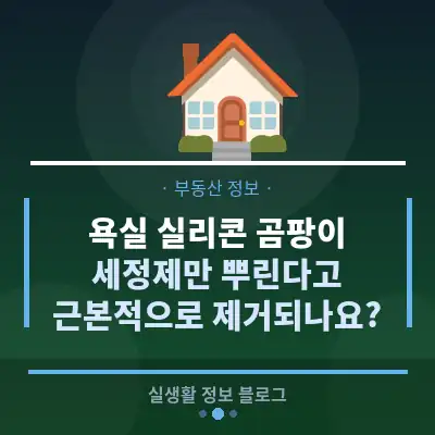 욕실 실리콘 곰팡이, 세정제만 뿌린다고 근본적으로 제거되나요?