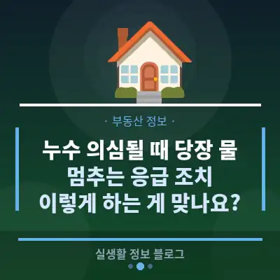 누수 의심될 때 당장 물 멈추는 응급 조치, 이렇게 하는 게 맞나요?