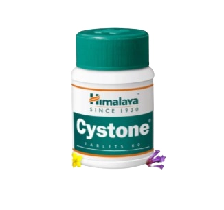 Himalaya Cystone Tablets