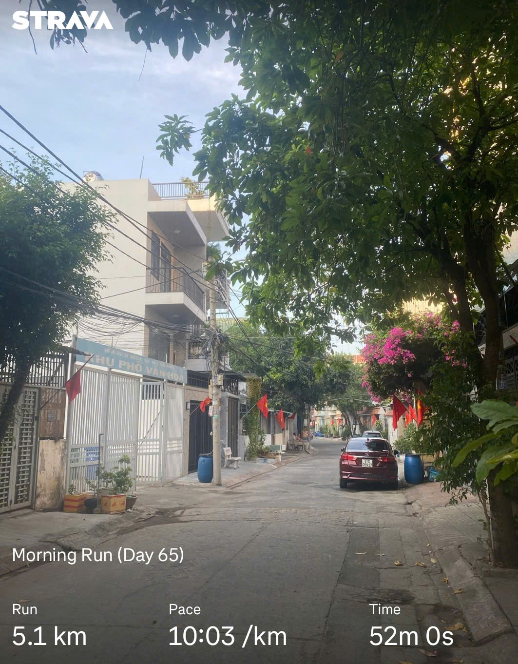 Let's Run! Day 65 🏃♂️