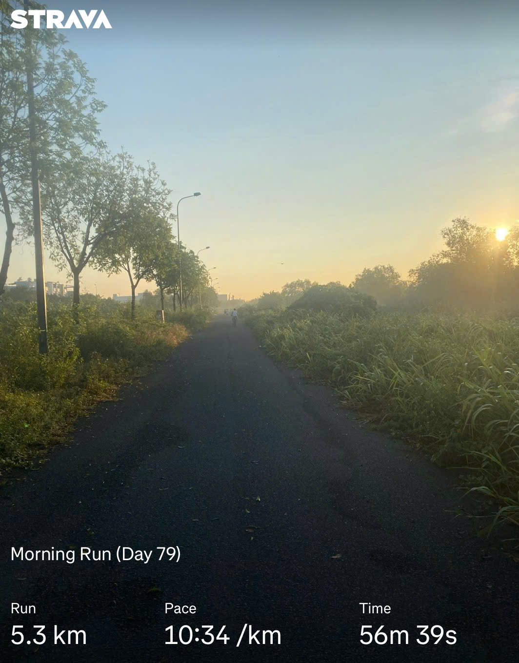 Let's Run! Day 79 🏃♂️