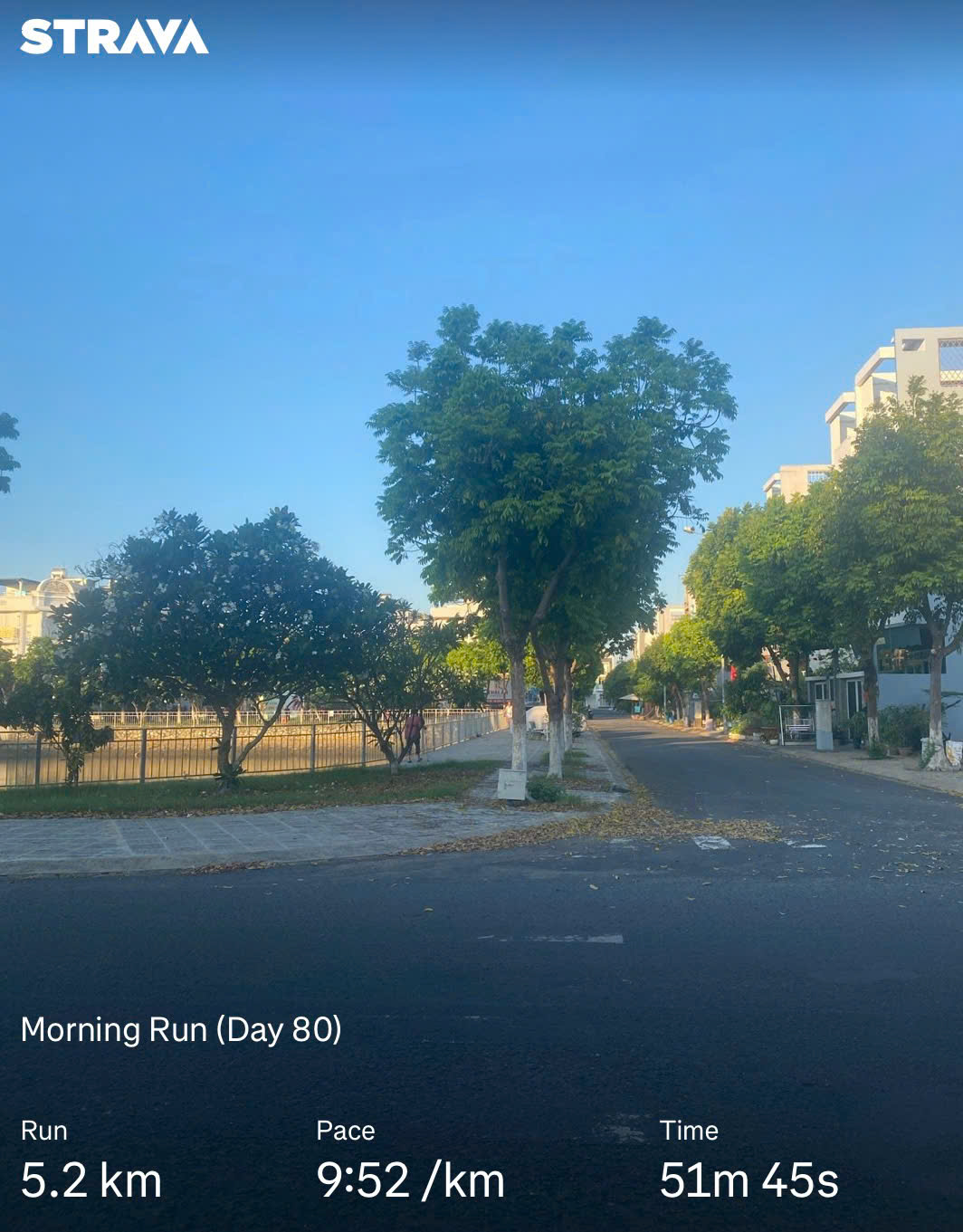 Let's Run! Day 80 🏃♂️