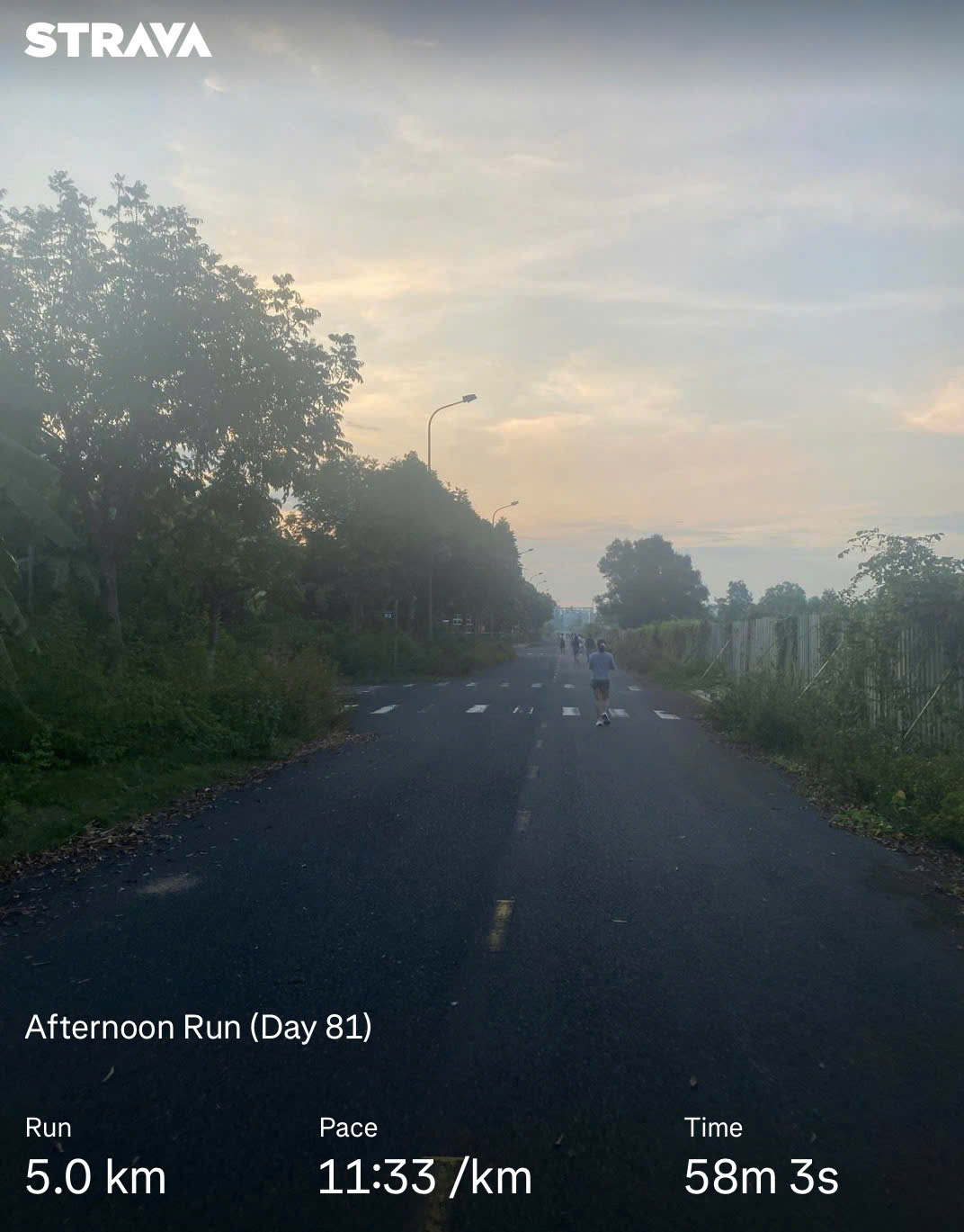 Let's Run! Day 81 🏃♂️