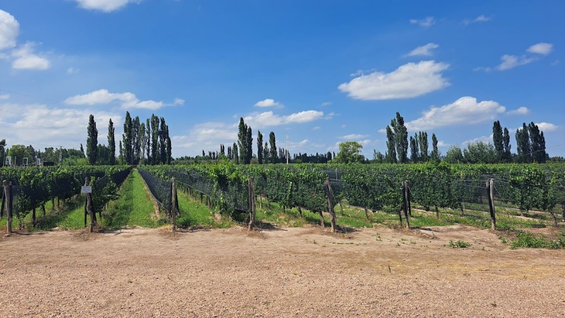 FINCA EL NEVADO (Bodega) - Rama Caída - Foto 3