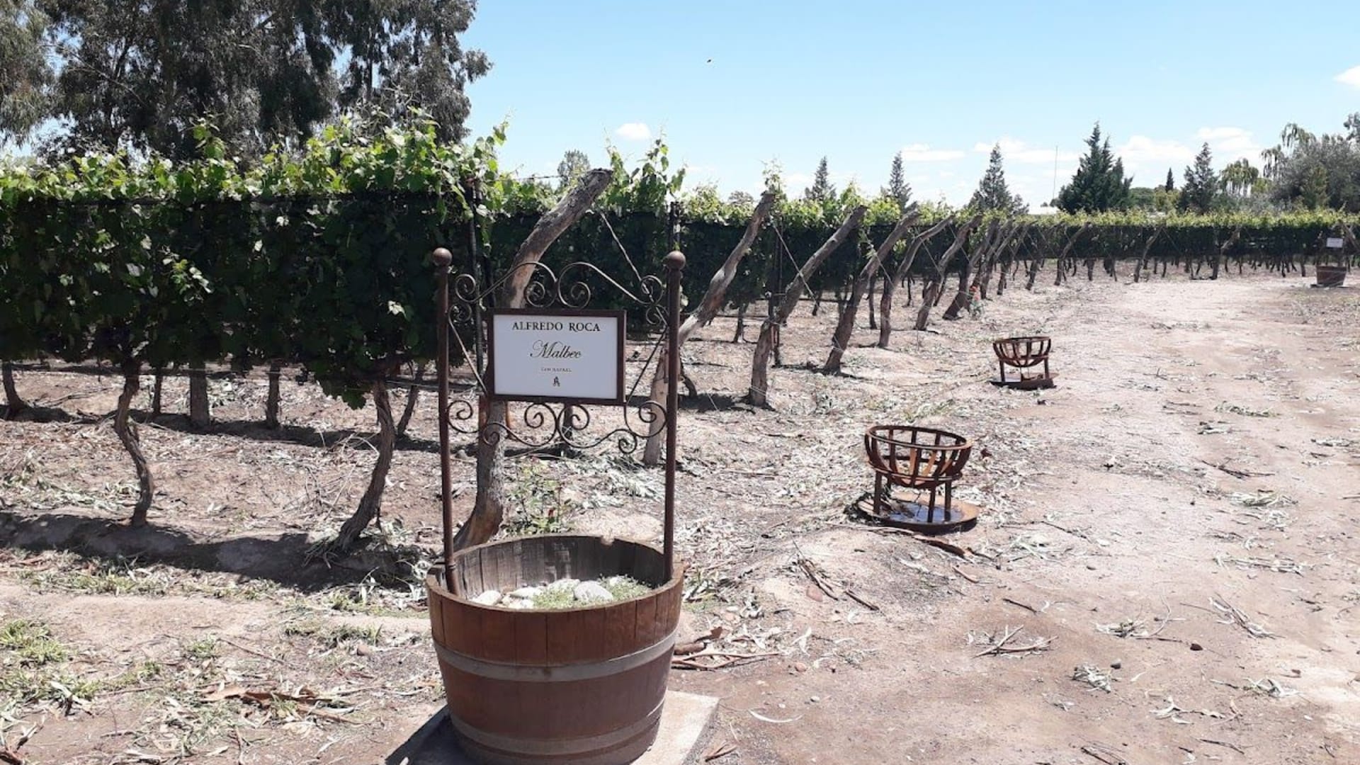 Bodega Roca - Foto 2