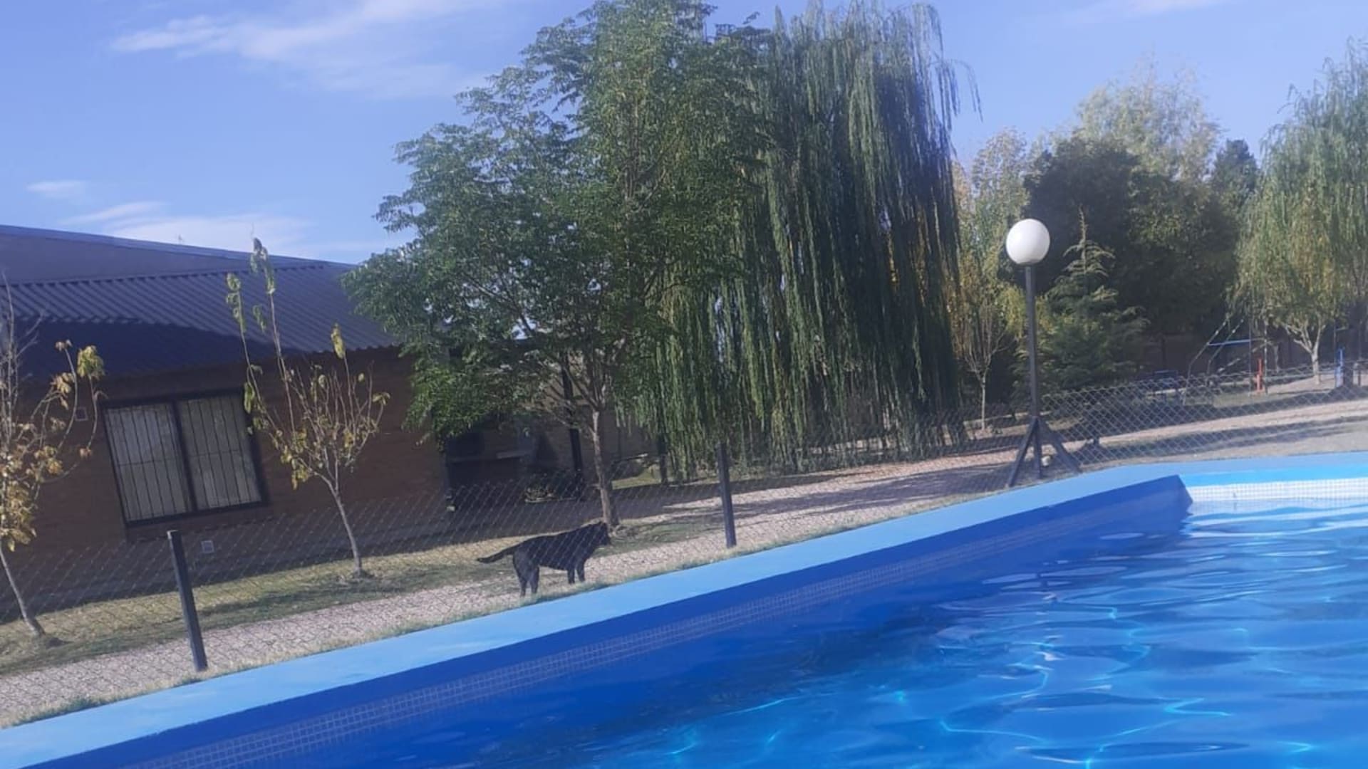 Cabañas San José Del Atuel- Rama Caída - Foto 3