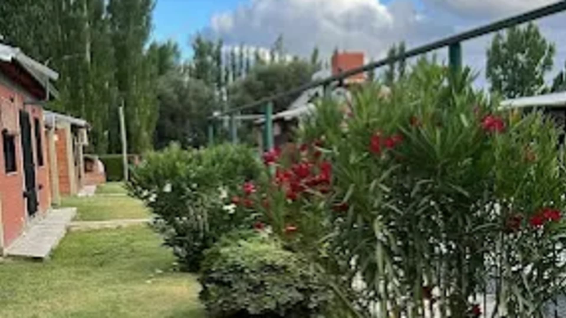 Cabañas Elita - Foto 12