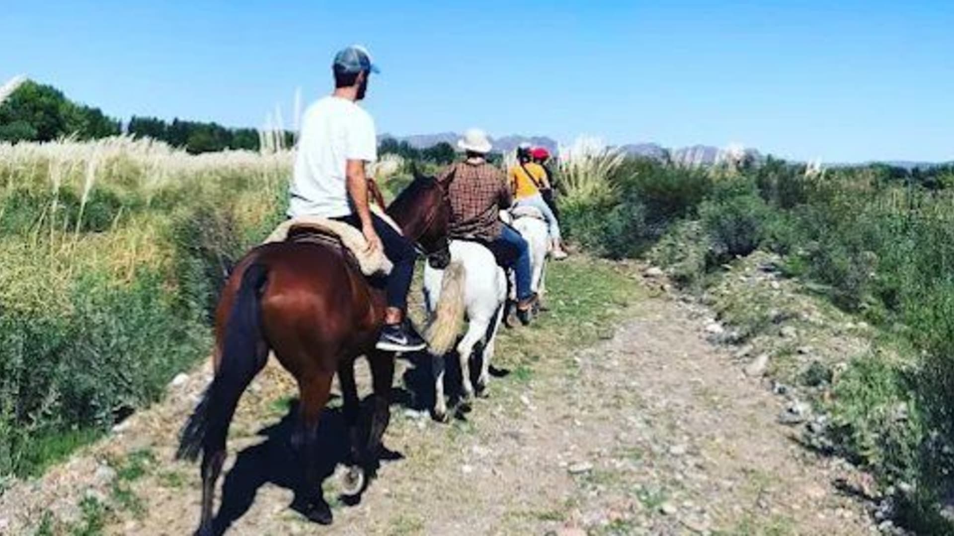 CABALGATAS SAN RAFAEL - Foto 1