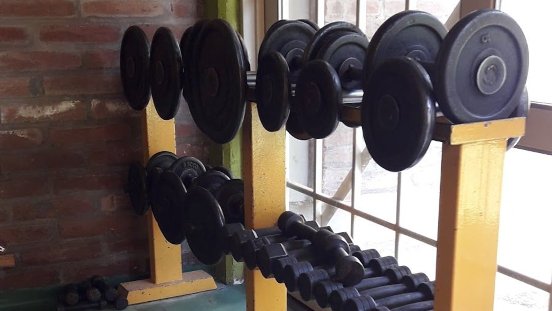 Gimnasio Oasis - Foto 3