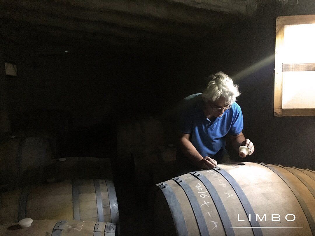 BODEGA LIMBO - Foto 5