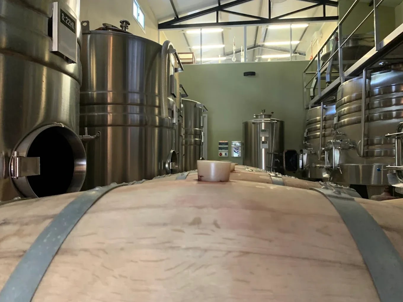 Bodega Chayee Bourras - Foto 8