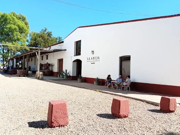 BODEGA LA ABEJA - Foto 1