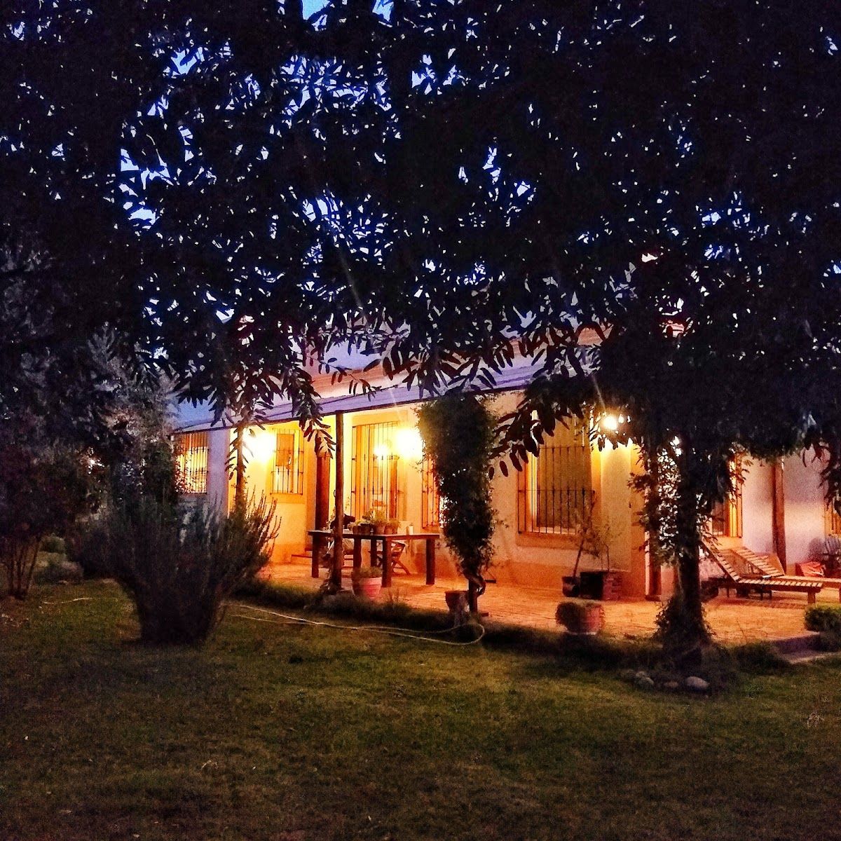 Finca La Penúltima - Foto 1