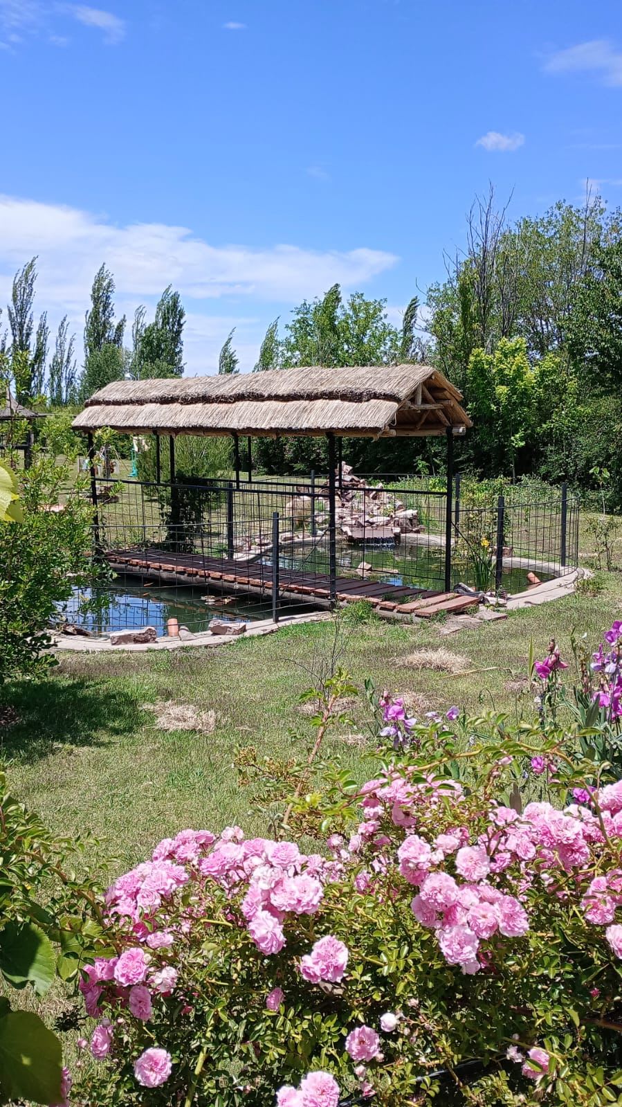 Catemu - Foto 4