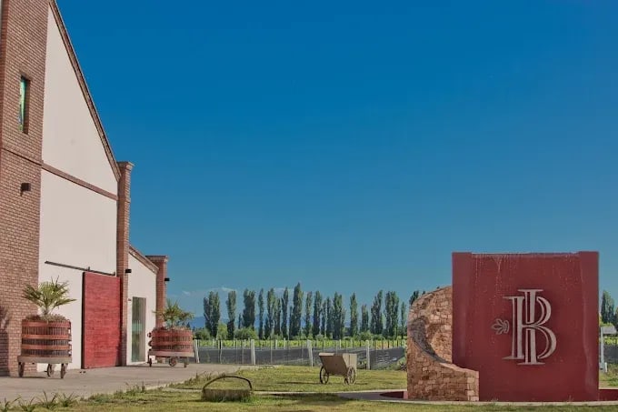BODEGA IACCARINI - Foto 1