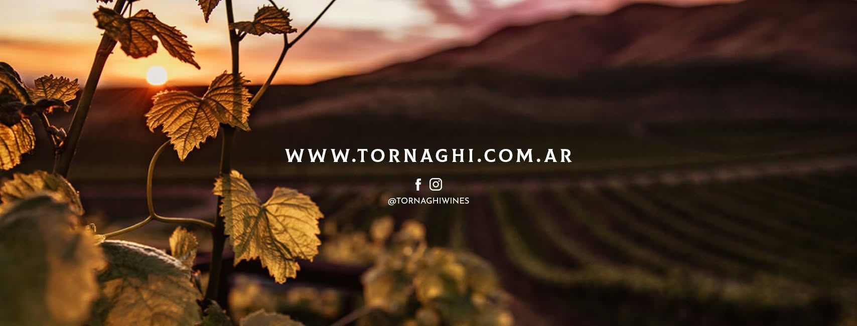 BODEGA TORNAGHI - Foto 1