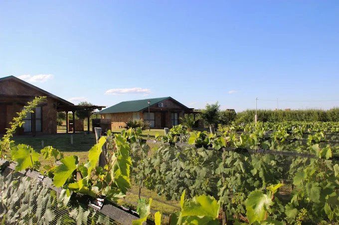 Cabañas Altos Del Valle – Rama Caída - Foto 1