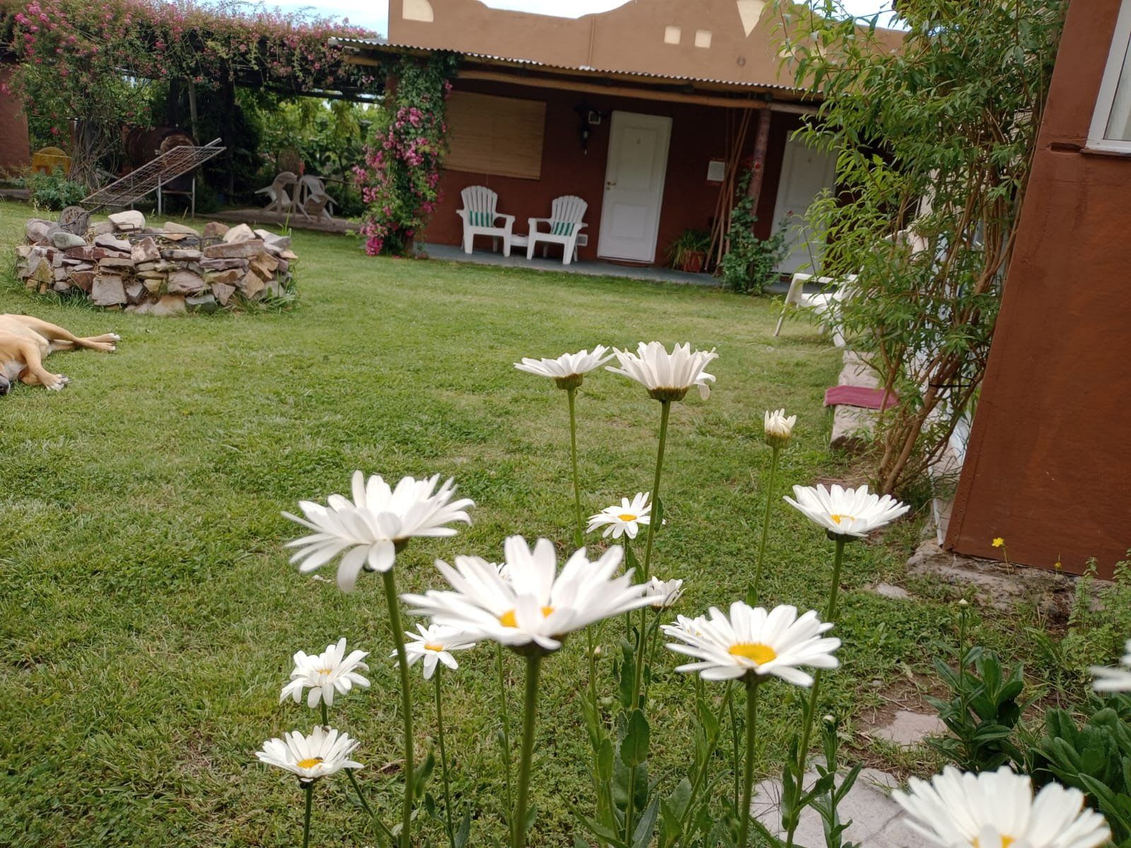 Cabañas Aicanay - Solo para adultos - Foto 2