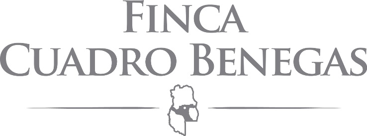 FINCA CUADRO BENEGAS - Cuadro Benegas