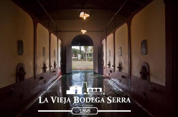 LA VIEJA BODEGA SERRA (Bodega / Aceite de Oliva) - Rama Caída