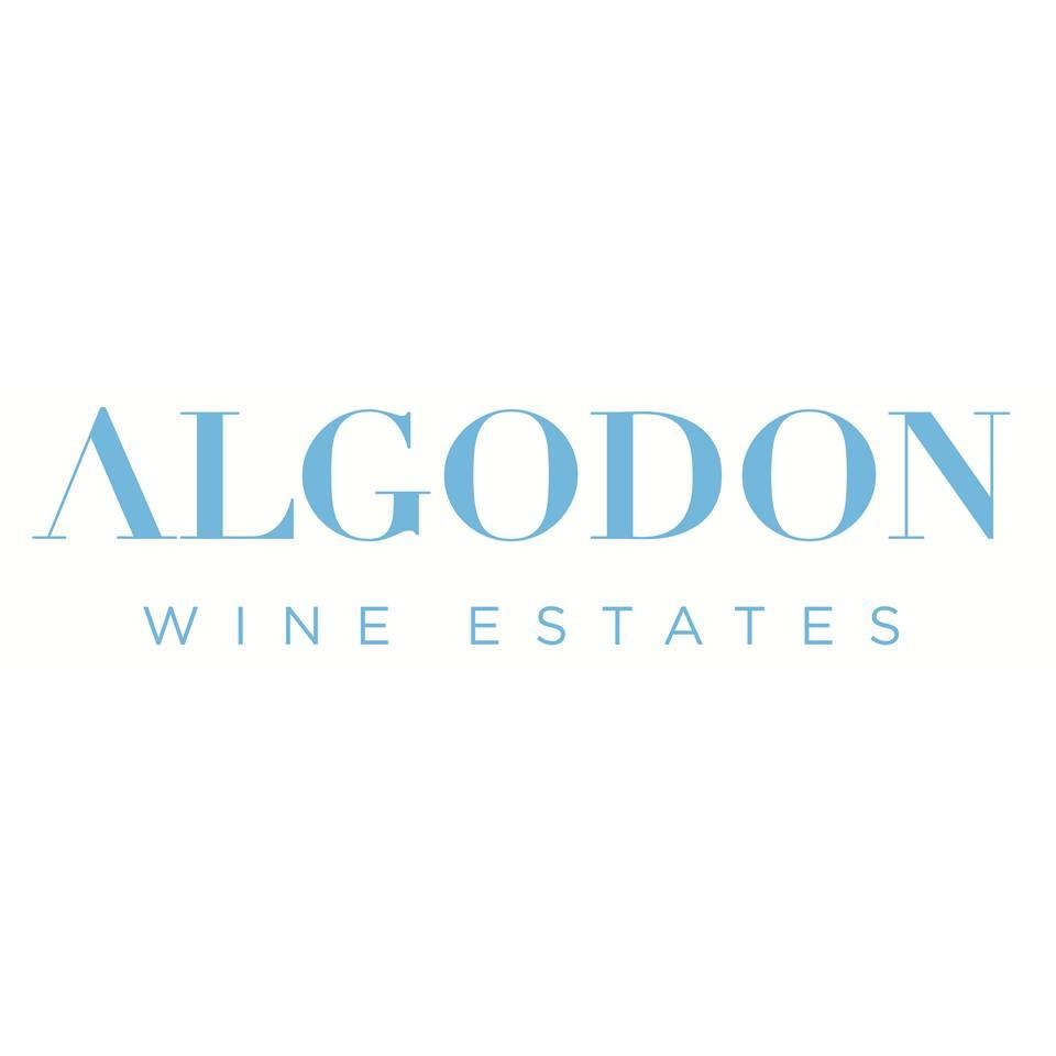 Lodge Algodón Wine – Cuadro Benegas