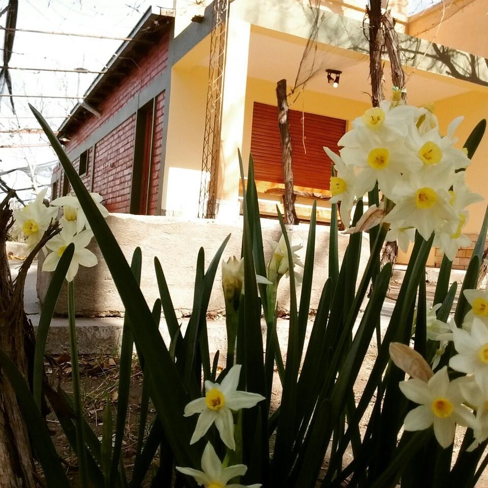 La Casona de Crismajo – Cuadro Benegas