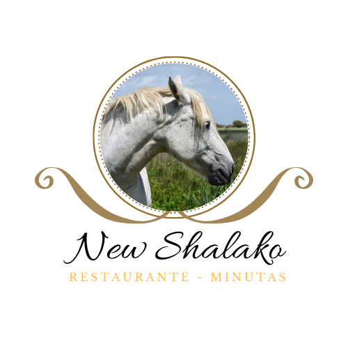 NEW SHALAKO - Ciudad