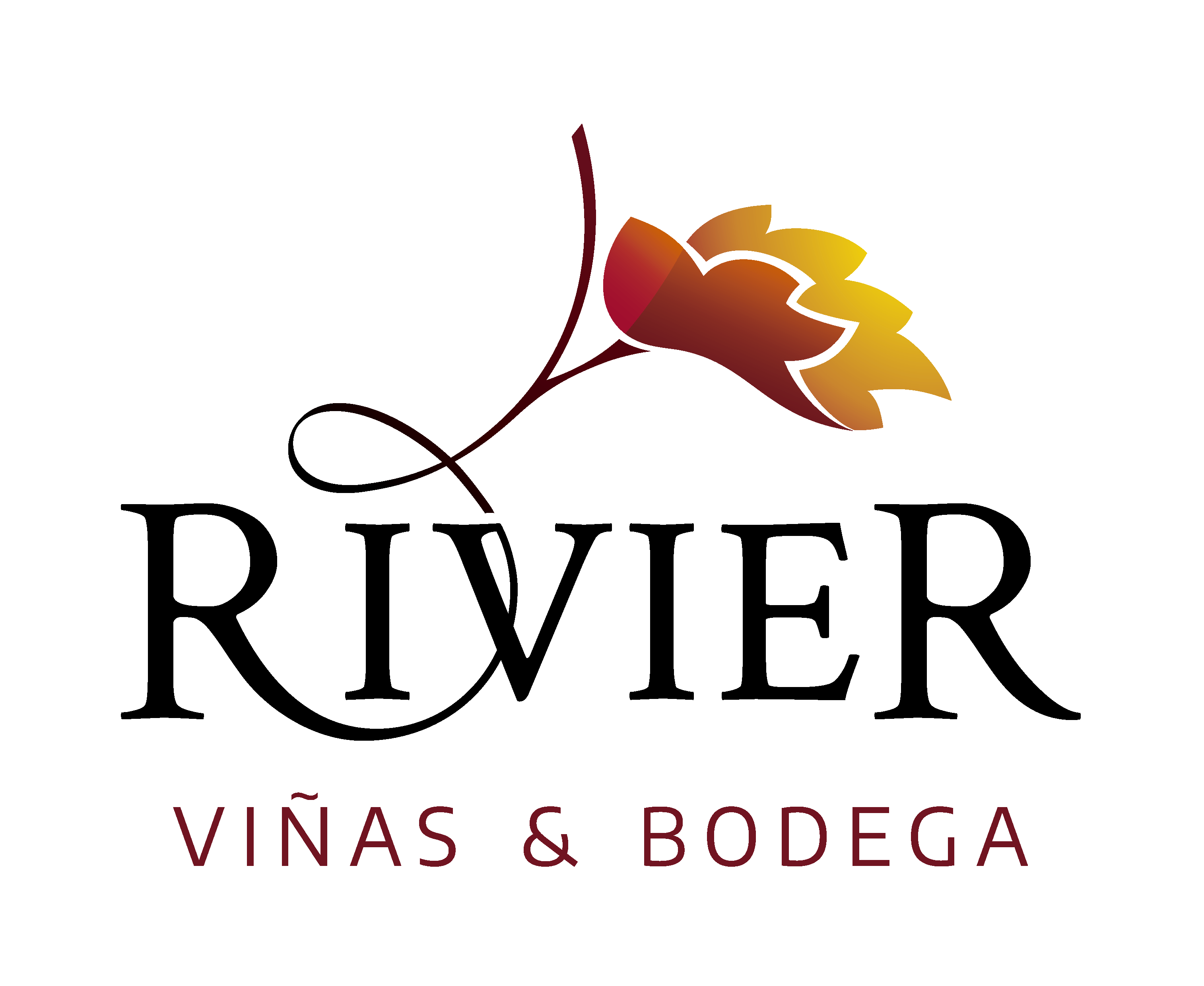 JEAN RIVIER(Bodega) - Las Paredes