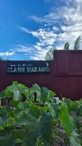 CLANN MARANGI - VINOS DE AUTOR - Foto 1